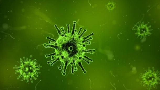 Što je istina u svezi koronavirusa?